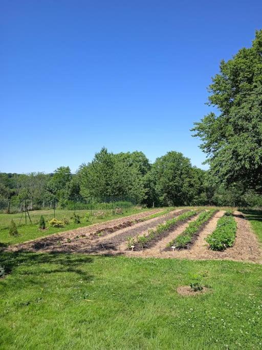 Les Jardins Des 3 Provinces- Gite Montcharvot Экстерьер фото