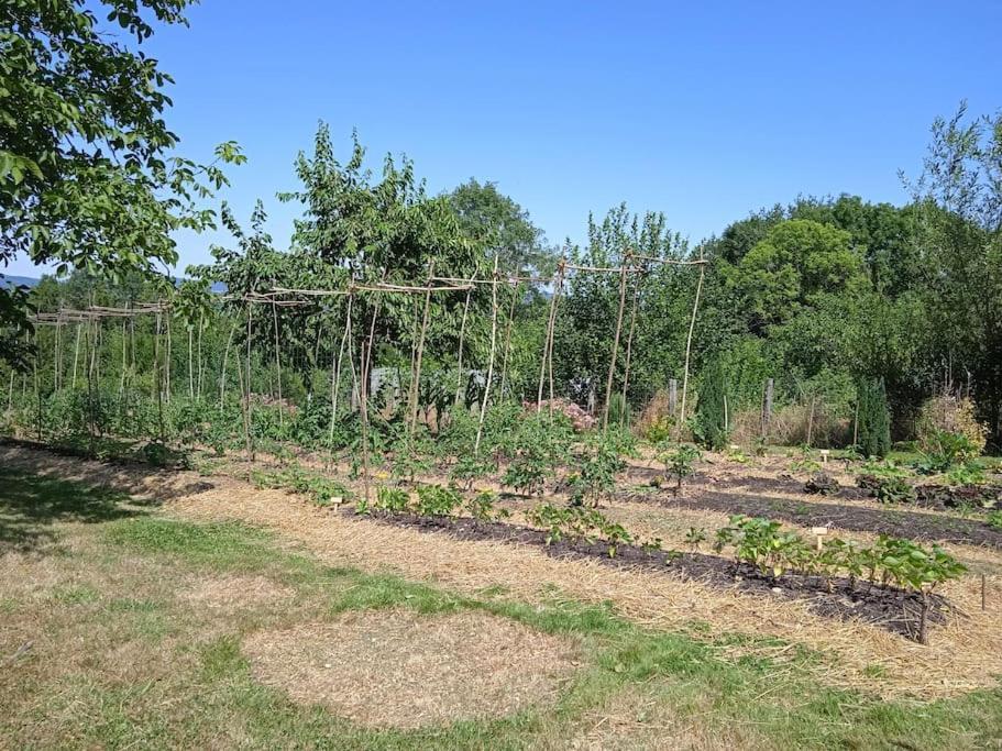 Les Jardins Des 3 Provinces- Gite Montcharvot Экстерьер фото