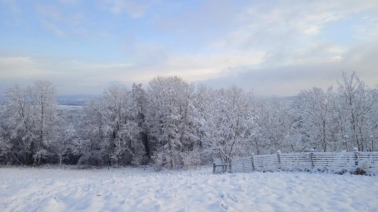 Les Jardins Des 3 Provinces- Gite Montcharvot Экстерьер фото
